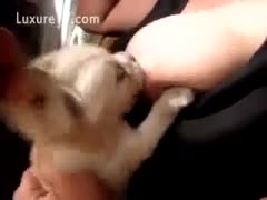 Furry puppy stuck on woman's mamas 